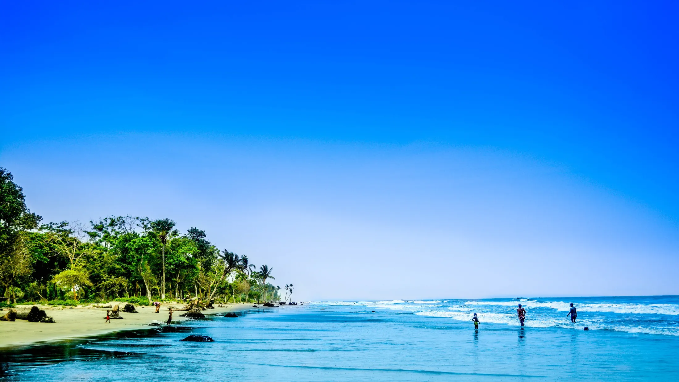 The wide open shoreline and palm trees of Kuakata